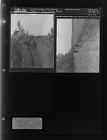 Men in Pine Tree Field (2 Negatives), May 10 - 11, 1967 [Sleeve 26, Folder e, Box 42]
